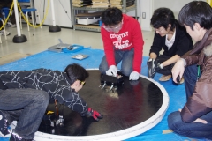 ロボット相撲