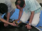 2008年8月4日~6日 ロボット相撲セミナー 10