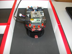 IMGP4328