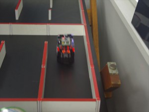 IMGP5691